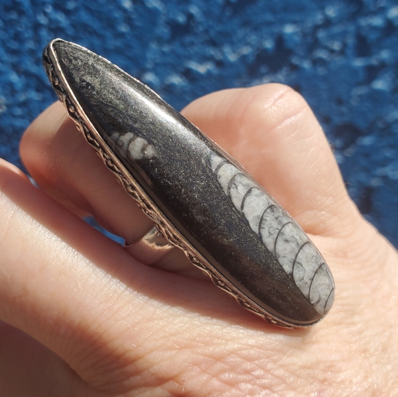 New Oversized Orthoceras Fossil 925 Silver Statement Ring. - Picture 7 of 16